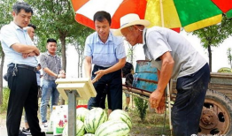 固安吃瓜最新事件爆料新闻,最新爆料揭示惊人内幕